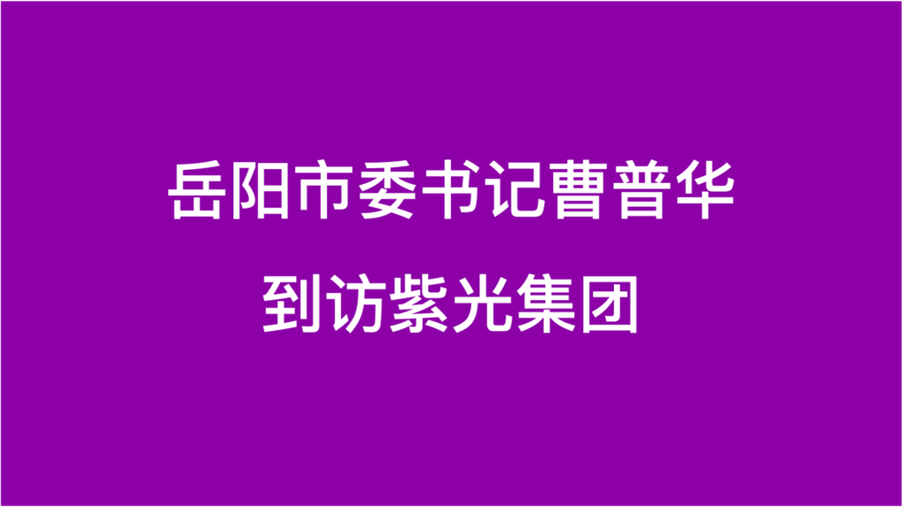 岳阳市委书记曹普华到访总集团